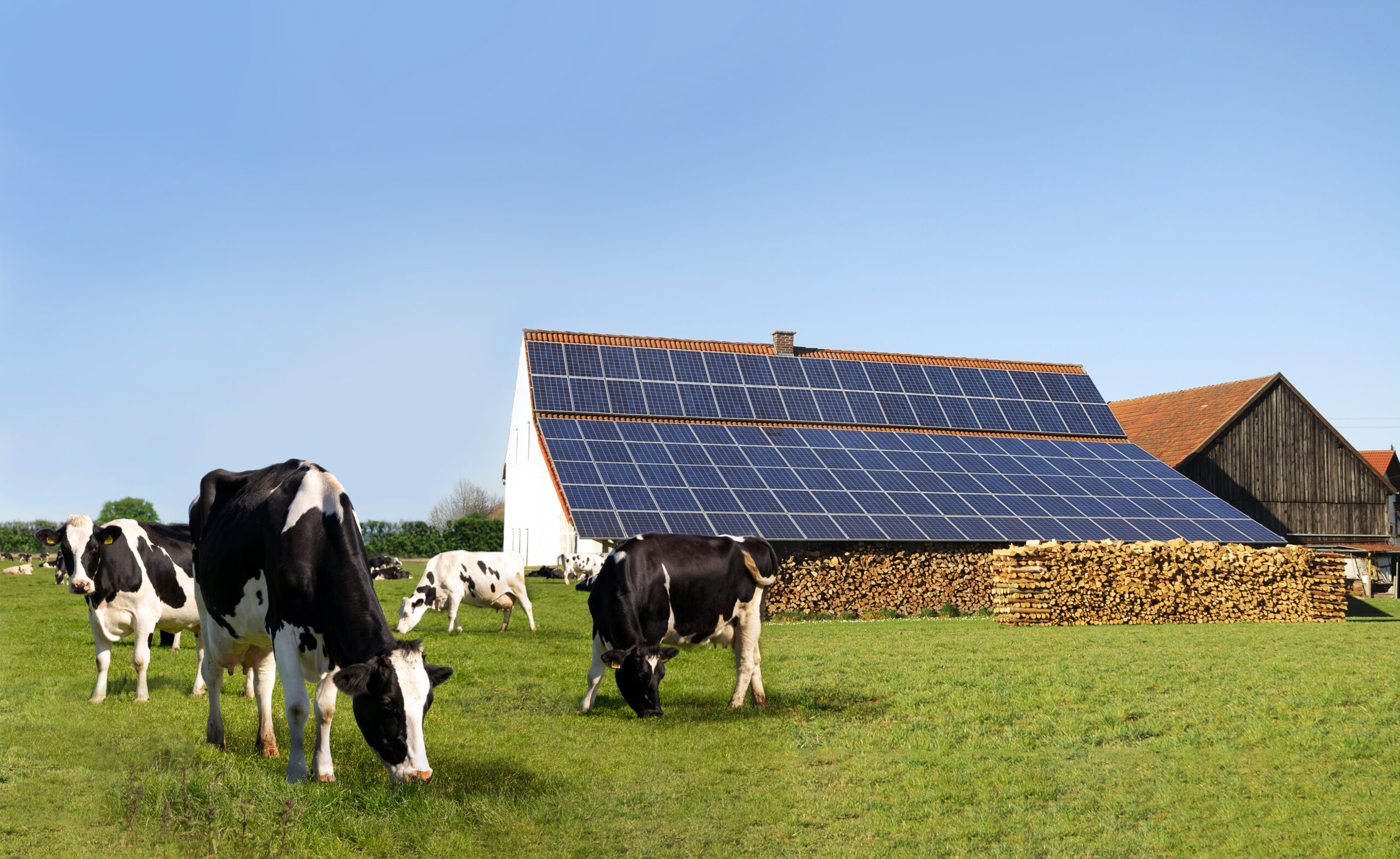 A Saint-Racho, un tracker solaire pour l'auto-consommation - Agri